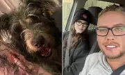 Family Dog Described as 'Softest' Pet Kills 19-Year-Old Owner in Essex