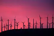 Federal Judge Blocks Trump Administration Restrictions on Wind and Solar Projects
