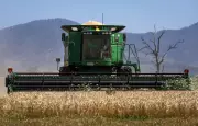 Fertiliser Shortage in Australia Threatens Global Bread Prices