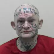 Former Hollywood Actor Jason Hoganson Dies After Release Under Early Prison Scheme