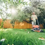 Free 'Penguin Walk' Trick Transforms Patchy Lawns into Lush Green Grass