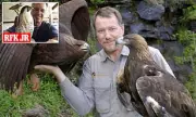 From Olympic Heartbreak to World-Class Wood Carver: Floyd Scholz's Remarkable Journey