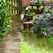 Garden Direction is Key to a 'Truly Blooming' Outdoor Space This Spring