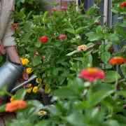 Gardener's 'Magic' Mushroom Water Trick to Beat UK Mini-Heatwave