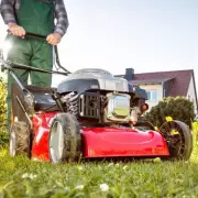 Gardeners Urged to Avoid Mowing Lawns Throughout May for Greener Grass