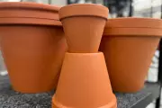 Gardeners Urged to Ditch Plastic to Combat Soil Microplastic Pollution