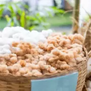 Gardeners Urged to Use Sheep Wool for Spring Planting Benefits