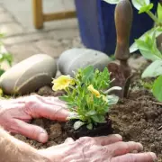 Gardening Expert Reveals 3 Essential April Tasks for a Stunning Outdoor Space