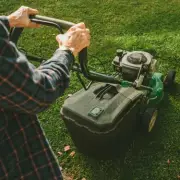 Gardening Expert Warns Against Common Lawn Mowing Mistake