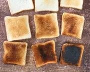 Gene-Edited Wheat Reduces Carcinogenic Acrylamide in Toasted Bread