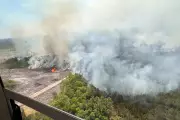 Georgia Wildfires Spread Uncontrolled, Destroying Over 120 Homes
