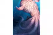 Giant Kraken-Like Octopus Ruled Seas During Dinosaur Age
