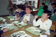 Global School Meals: How UK Lunches Compare to France, Japan and Beyond