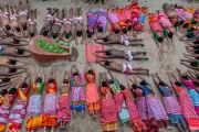Global Snapshot: New Year Festivities, Baby Elephant Debut, and Global Events