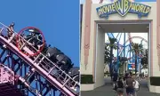 Gold Coast Rollercoaster Halts Mid-Ride, Passengers Safely Rescued
