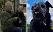 Gone Fishing's Beloved Dog Ted Dies at 13: A Tribute to His Funniest Moments