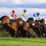 Grand National 2026: Full Horse Numbers and Jockey Colours Revealed