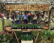 Great Dixter Spring Plant Fair: A Gardener's Essential Shopping Guide