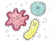 Gut Microbiome Diversity: Not a Simple Shield Against Illness, Scientists Warn