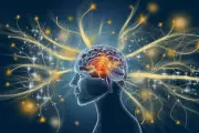 Harvard Professor Launches AI Startup for 'Perfect' Human Memory