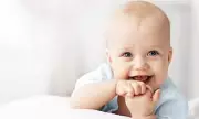 HiPP Recalls Baby Food Over Undeclared Celery Allergen Risk