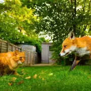 Homemade Herbal Spray Deters Cats and Foxes from Gardens Naturally