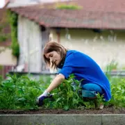 Homemade Weed Killer Recipe Costs Just £2.70 for Patio Weeds