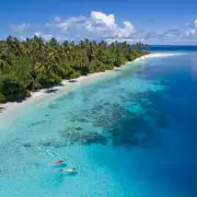 Honeymoon Shark Attack in Maldives Leaves Spanish Doctor Fighting for Life