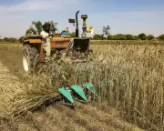Hormuz Blockade Sparks Global Fertiliser Crisis, Threatening Food Security