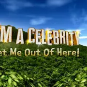 I'm A Celebrity Shocker: Gemma Collins and David Haye Axed in Double Eviction