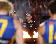 Indigenous players back St Kilda coach Ross Lyon after 'brother-boy' comment