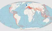 Interactive Map Reveals Your Hometown's Location 320 Million Years Ago