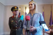 Irish Defence Minister's Lebanon Visit Cancelled on Security Grounds