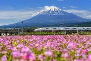Japan Rail Pass Price Hike: Tourist Train Travel Costs to Rise from October