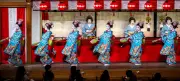 Kyoto's Geisha Rehearse for Historic Miyako Odori Spring Dance Festival