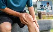 Lab-Grown Living Human Knees Offer Hope for Osteoarthritis Patients