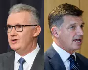 Labor Condemns Coalition's Hardline Immigration Plan as Divisive