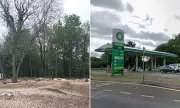 Landowner Hit with Record £268,000 Fine for Illegal Tree Felling at Petrol Station