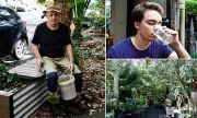 Lawyer-Turned-Gardener Saves $3,500 Annually Living Off-Grid in Sydney Terrace