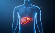 Liver Disease 'Silent Epidemic' Killing 300,000 Yearly in Europe