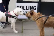 Local Elections 2026: When Your Council Result Will Be Announced