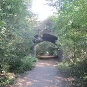 London Nature Reserve Walk So Calm You'll Forget You're in the City