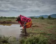 Maasai Lands Face Severe Drought as Climate Patterns Worsen in Kenya