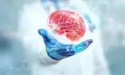 Major Review Questions Real-World Benefits of New Alzheimer's Drugs