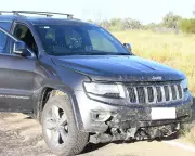 Man Charged with Murder After Alleged Kangaroo Crash Cover Story in NT