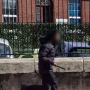 Man Wields Butcher Knife Outside Cork Primary School Amid Drug Violence Surge