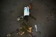 McDonald's Investigates Mystery of Sauce Bags Polluting Canadian Shoreline