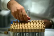 Medical Data of 500,000 Brits Stolen in Massive UK Biobank Breach