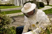 Melania Trump Adds White House-Shaped Beehive to Historic Honey Program