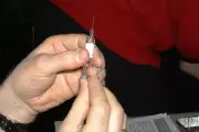 Meningitis B Outbreak in Weymouth: Antibiotics and Vaccines Offered to Students